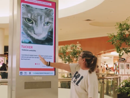 The Shelter Pet Project – Gesture Kiosk